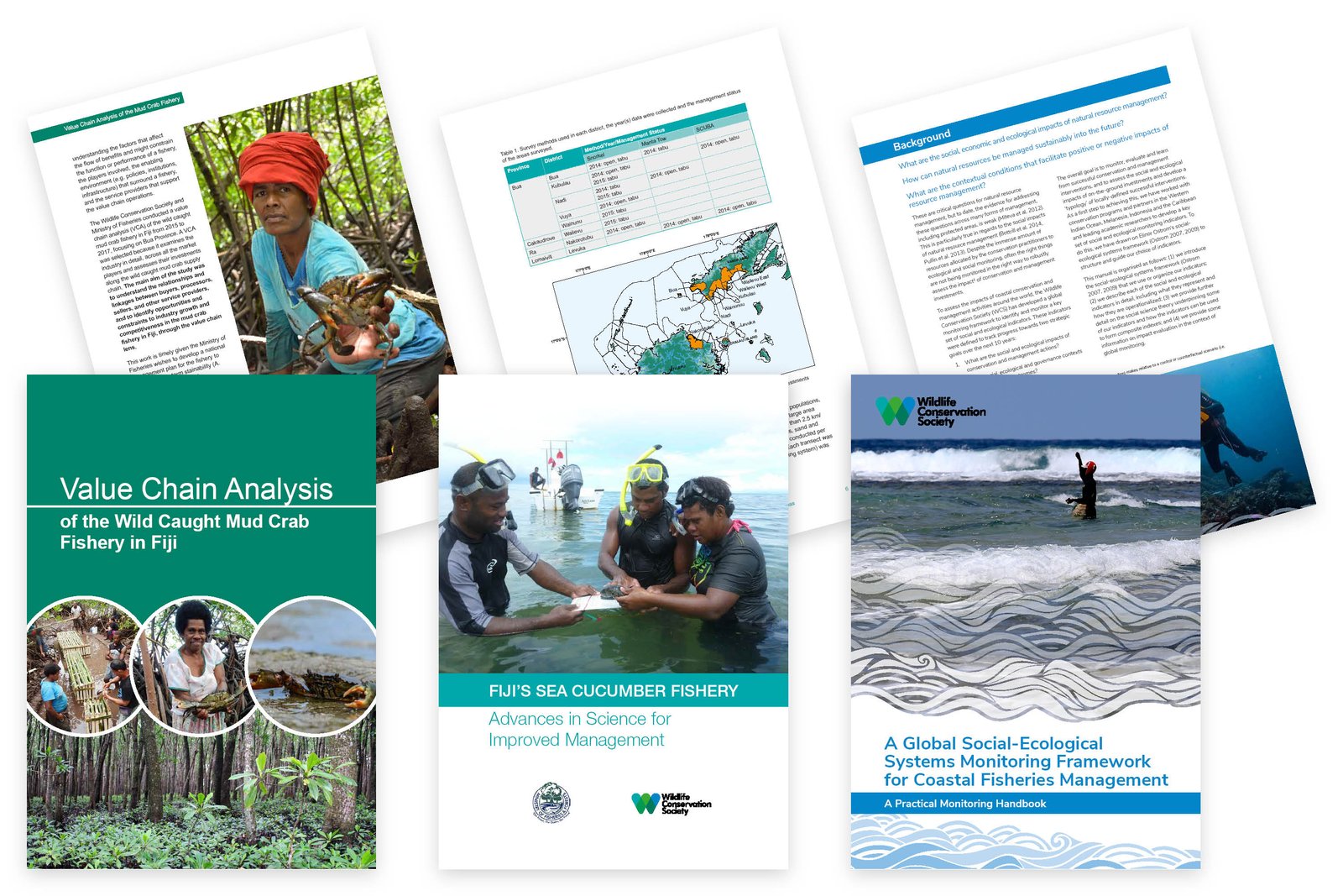 Scientific reports for the Wildlife Conservation Society, rich in images, maps, tables and graphs