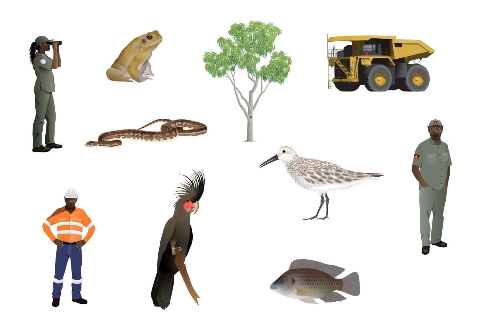 portfolio images 26012211